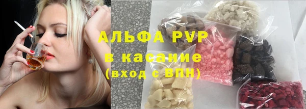 трава Коряжма