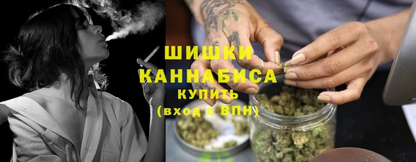 ешки Корсаков