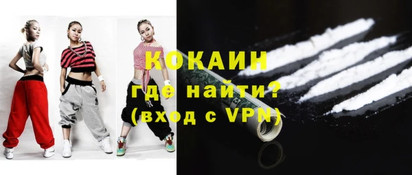трава Коряжма