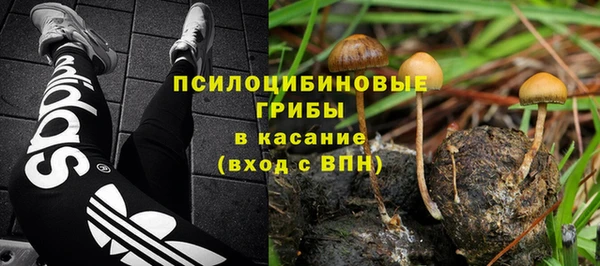 трава Коряжма