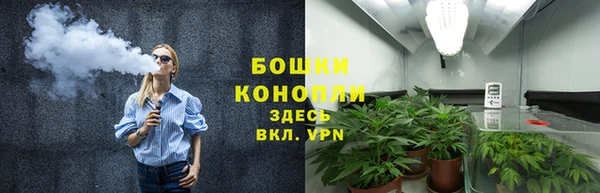 трава Коряжма